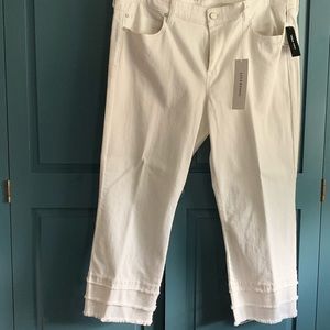 Liverpool Jeans...The Lucia Crop